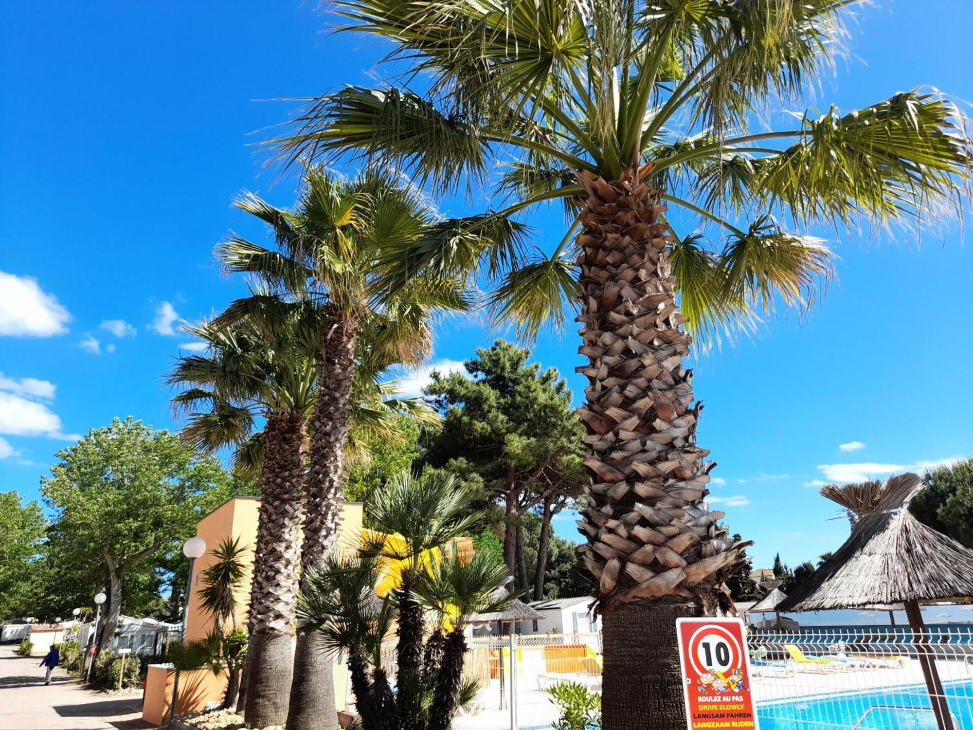 Camping Les Jardins D'Agathe - Maeva Le Grau-dʼAgde Exteriér fotografie